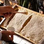 Saint-delis - La Maison Du Peintre - Relais&châteaux Hotel 5*