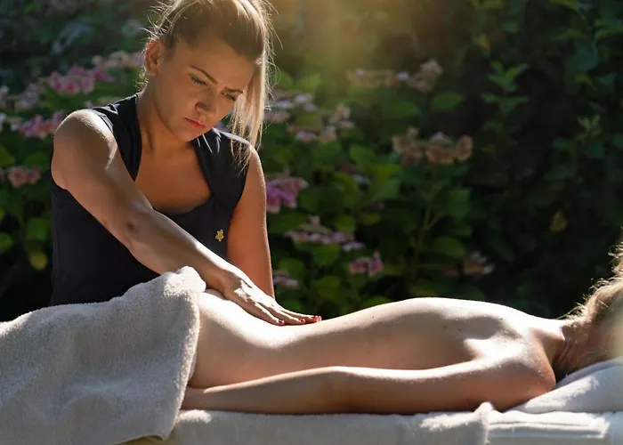 Отель Saint-delis - La Maison Du Peintre - Relais & Chateaux 5*